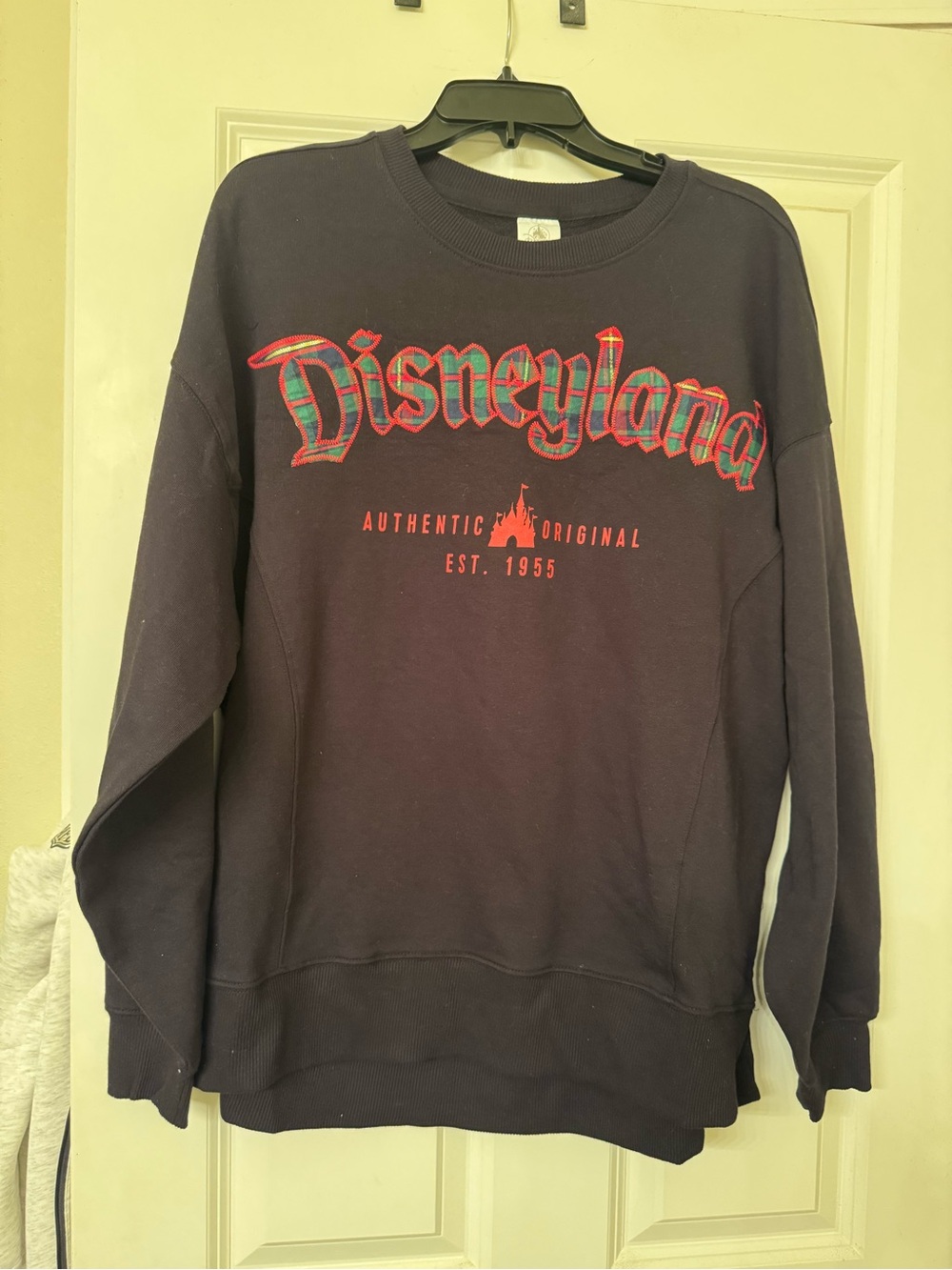 Disneyland holiday sweatshirt